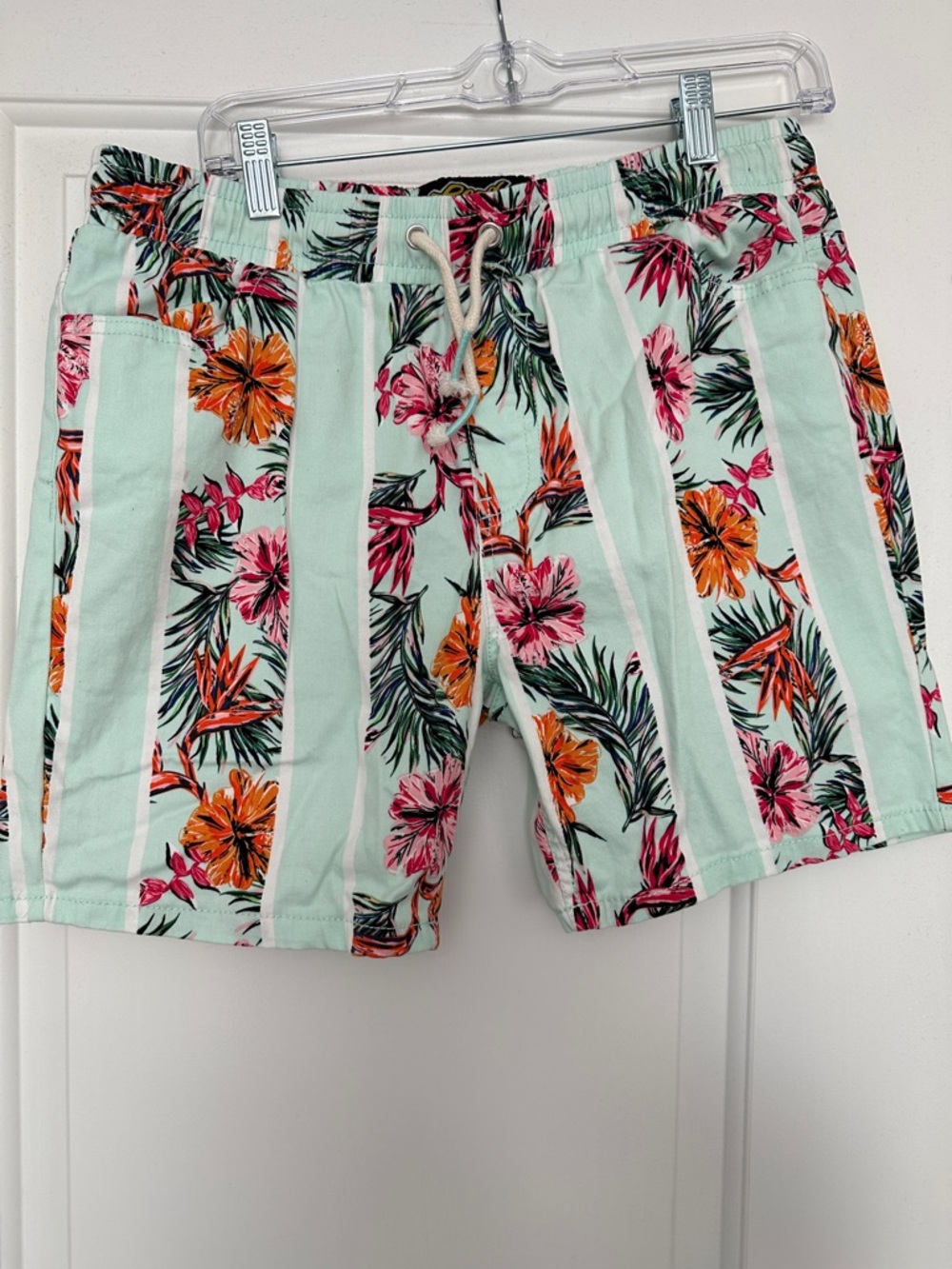Men’s Swimming Shorts Mint Floral Stripe